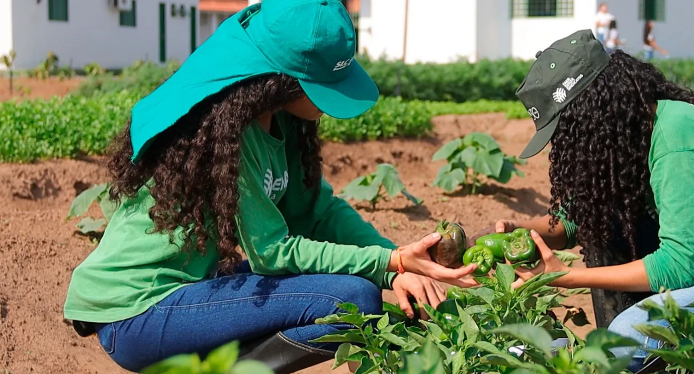 Jovens em atividade de formação agrícola no campo