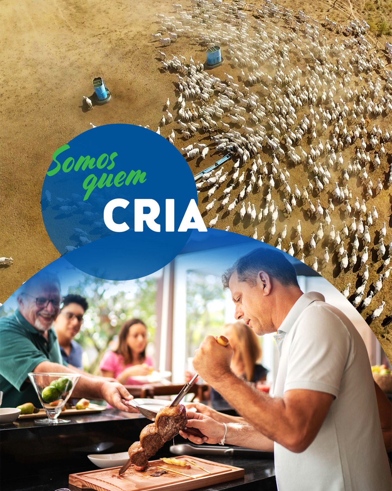 Somos quem cria: pecuária e alimentos à mesa, campanha AIBA