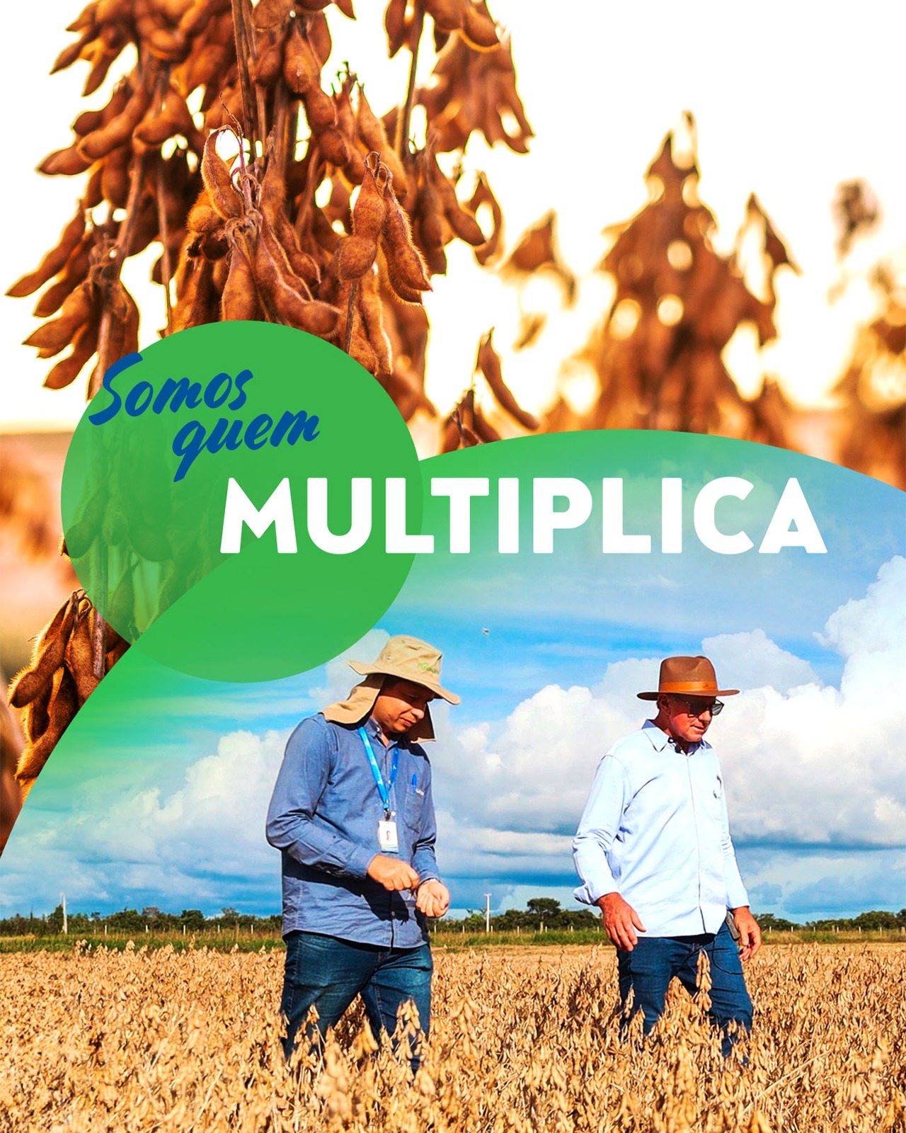 Somos quem multiplica: produção de grãos e produtores no campo, campanha AIBA