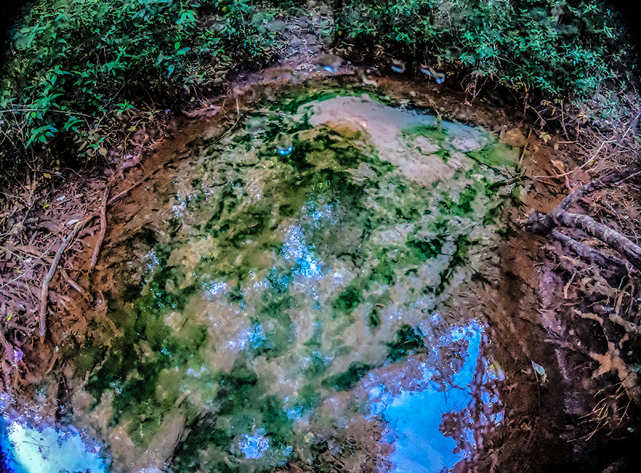 Recuperação de Nascentes