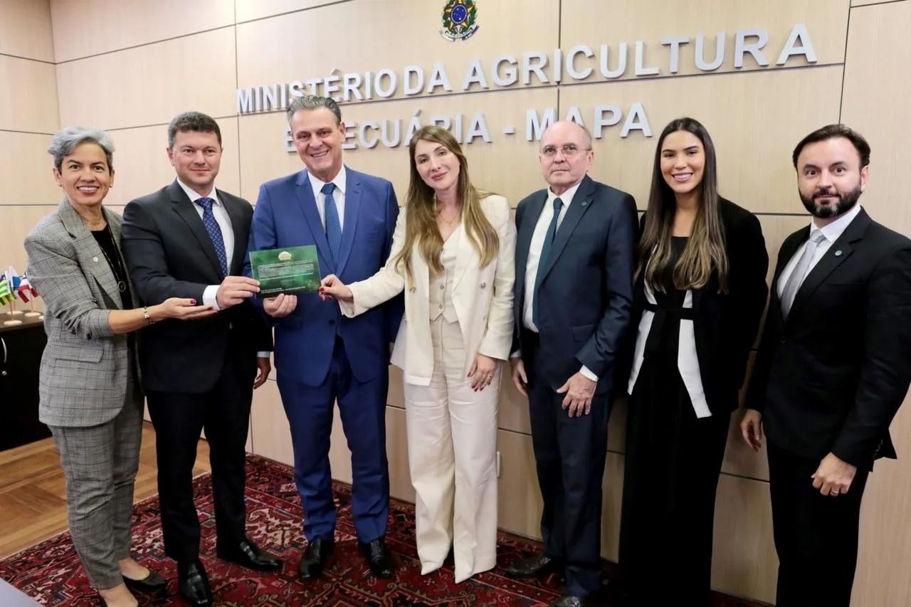 Representação Institucional