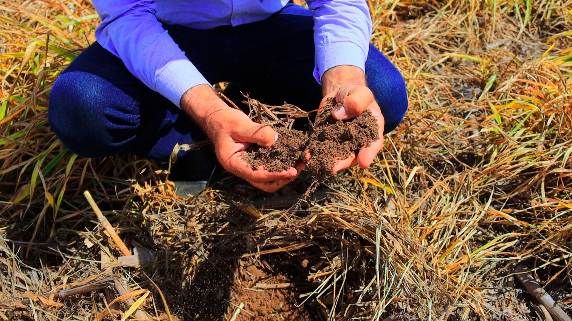 Produtores e Empresas