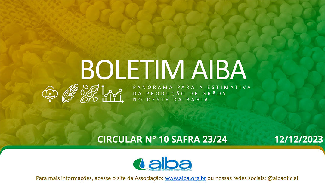 Boletim 10 de 12-12-2023