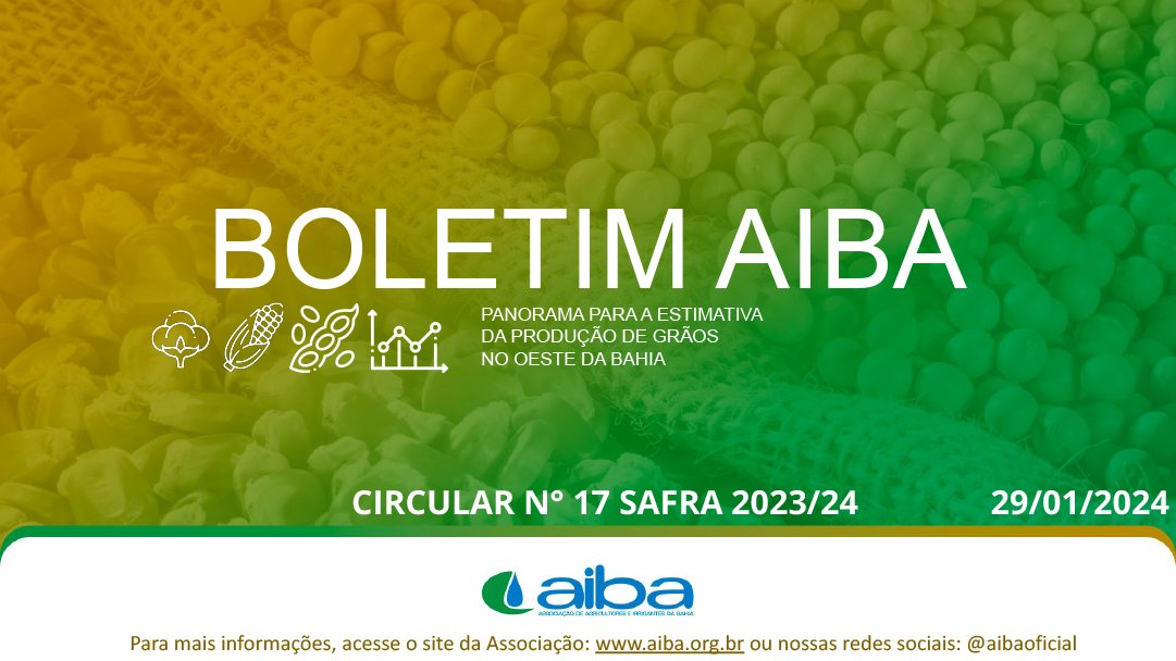Circular 17 de 29-01-2024