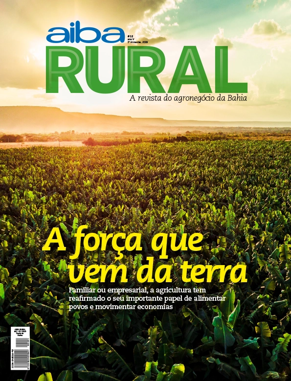 Capa — Edição 12