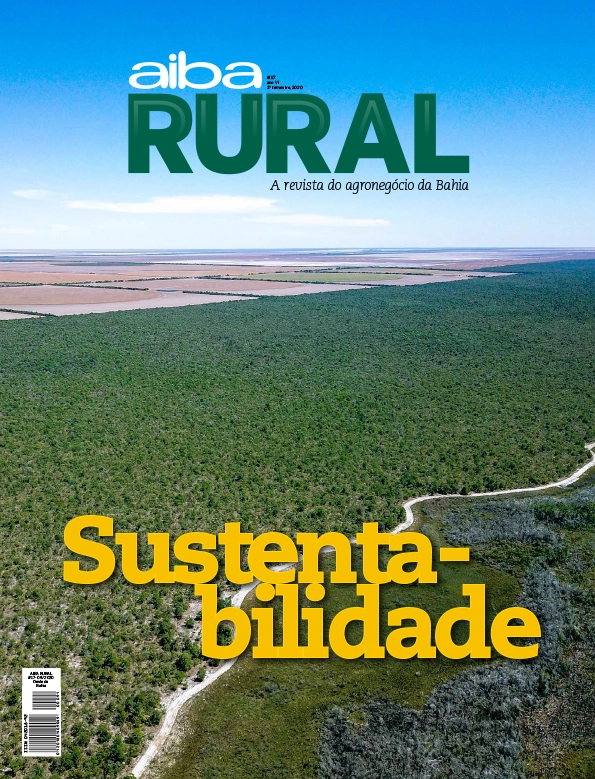 Capa — Edição 17