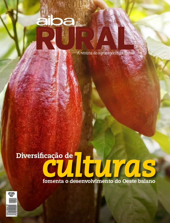 Capa — Edição 21