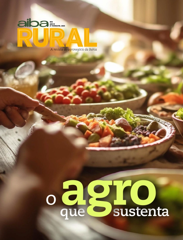 Capa — Edição 25