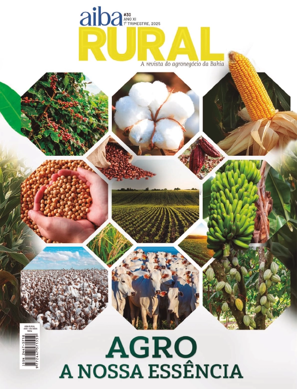 Capa — Edição 30