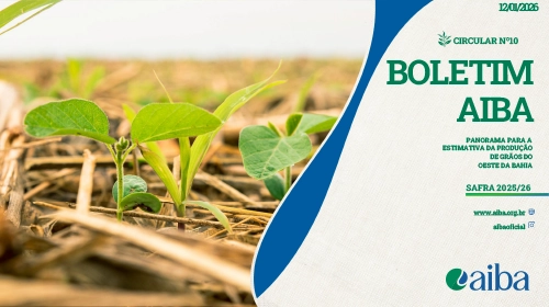 Capa — Circular 10