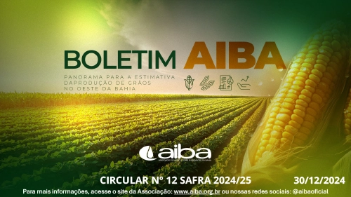 Capa — Circular 12