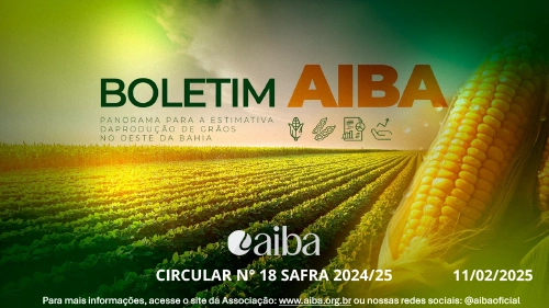 Capa — Circular 18