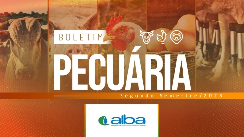 Capa — Boletim de Pecuária