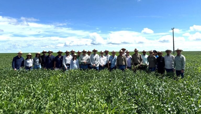 Aiba participa de Encontro Técnico sobre sistemas produtivos sustentáveis