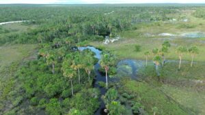 No mês em comemoração à água, Aiba reforça ações de Governança hídrica