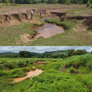 No Cerrado baiano, Aiba segue protegendo os mananciais hídricos por meio do Programa Nascentes do Oeste
