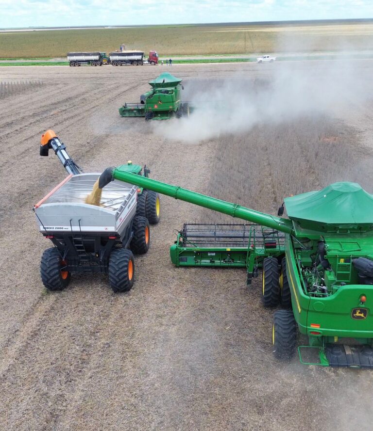 Com avanço de mais de 50% de soja colhida no Cerrado baiano, Aiba atualiza dados da Safra 2025/26