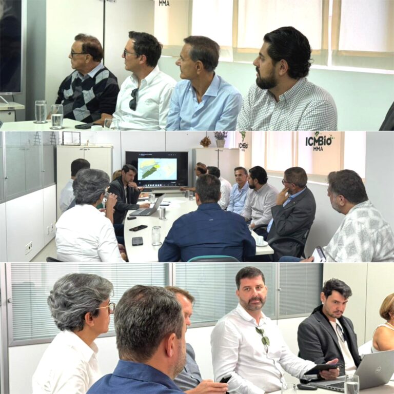 Em Brasília, Aiba discute soluções para a infraestrutura do Cerrado Baiano