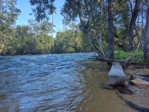 Iniciativa de Projeto Nascentes do Oeste realiza diagnóstico em Formosa do Rio Preto