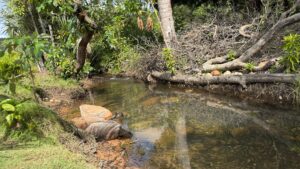 Aiba conquista Selo Verde do Programa Barreiras Sustentável
