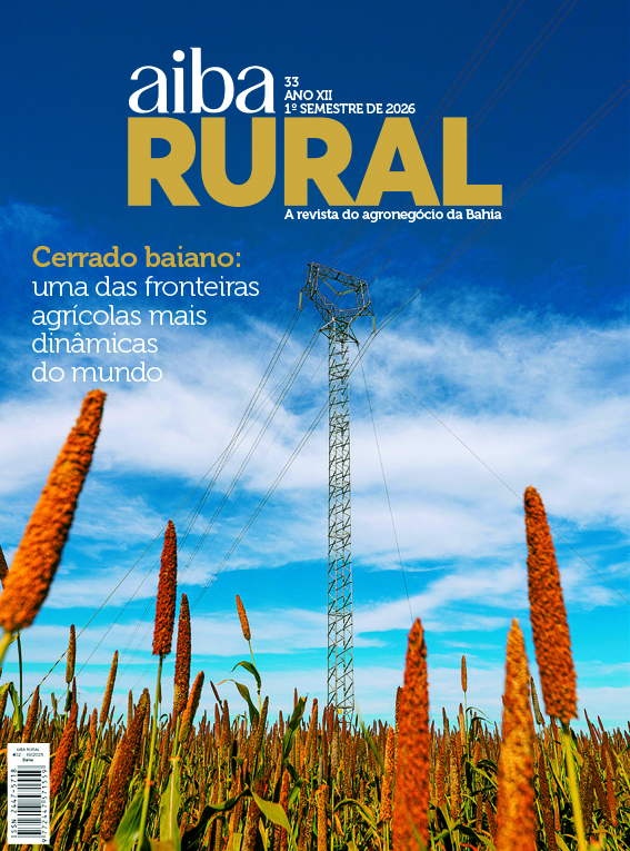 Capa — Edição 33