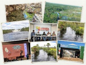 Iniciativas sustentáveis da Aiba contribuem para impulsionar o desenvolvimento do agronegócio no Cerrado baiano