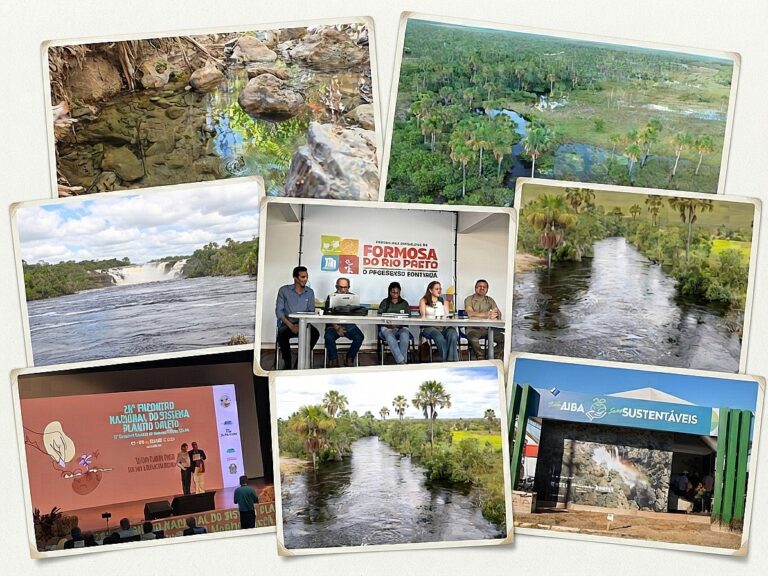Iniciativas sustentáveis da Aiba contribuem para impulsionar o desenvolvimento do agronegócio no Cerrado baiano