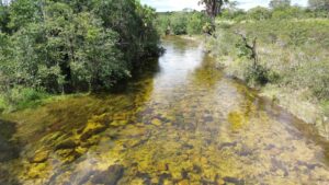 Aiba promove rodada técnica sobre monitoramento hídrico no Cerrado baiano