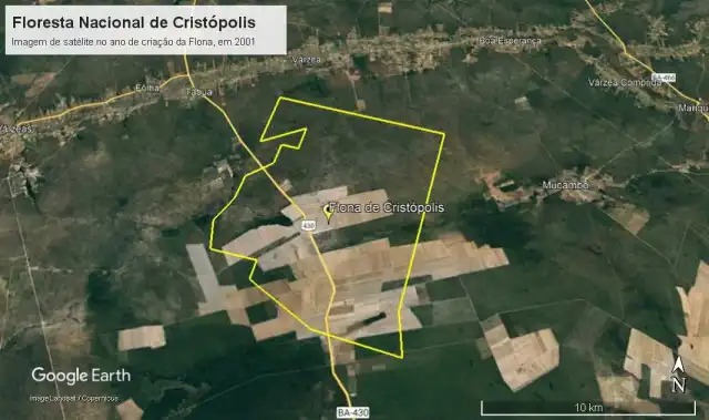 Articulação da Aiba garante vitória histórica para produtores rurais com extinção da Flona de Cristópolis
