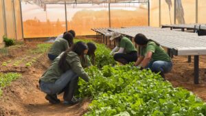 Aprendizado que nutre: Jovens Aprendizes da Fazenda Modelo transformam capacitação agrícola em solidariedade